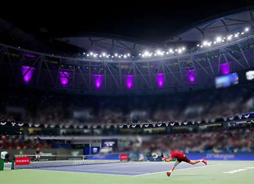 天等县体育比赛